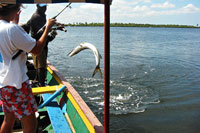 Partez à la pêche